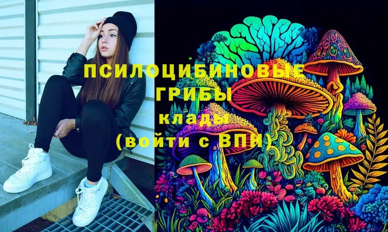 блэк спрут сайт  Кириллов  Псилоцибиновые грибы Cubensis  закладка 